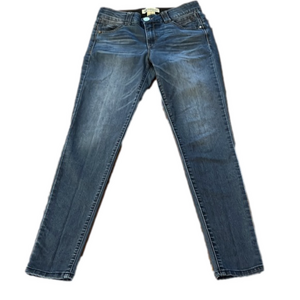 DEMOCRACY abd technology Jeans